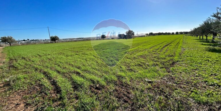 20240208234200-827634-6