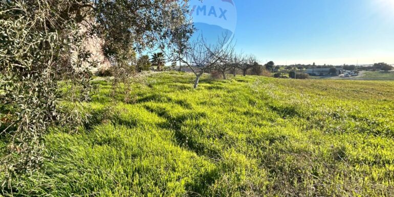 20240216200431-832863-19