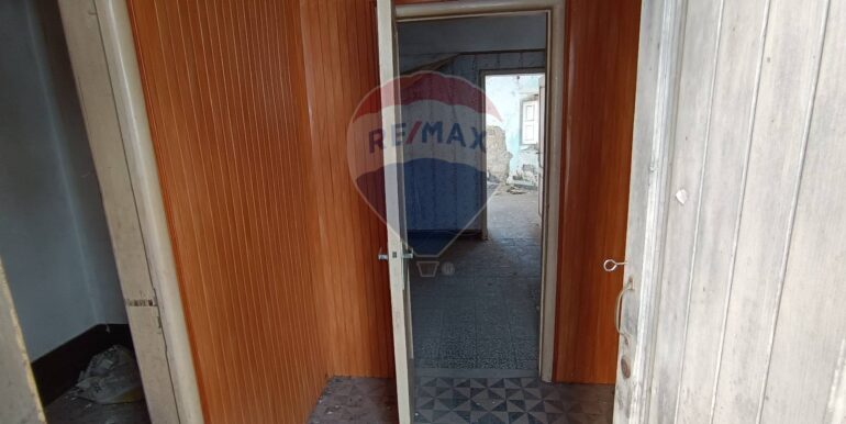 2024022912316-836556-6