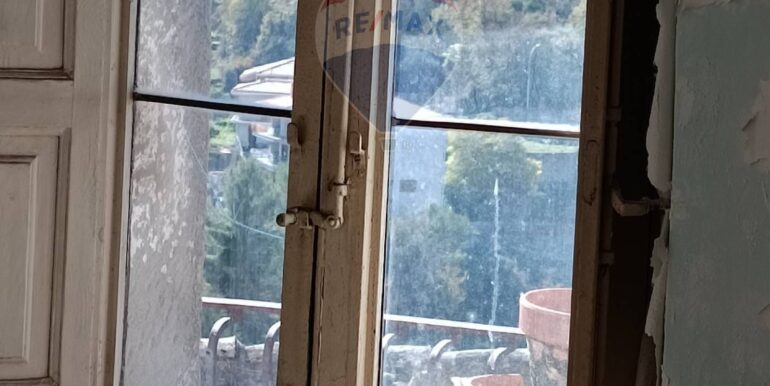 2024022912318-836556-7