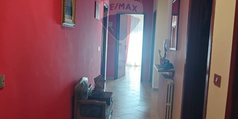 20240502173946-855965-20