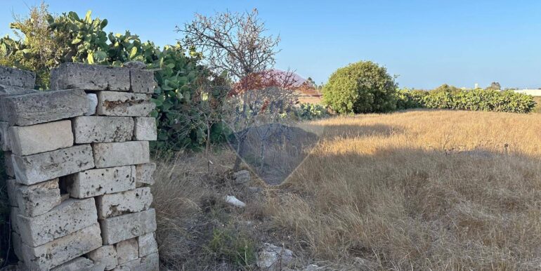 20240723111352-878357-5