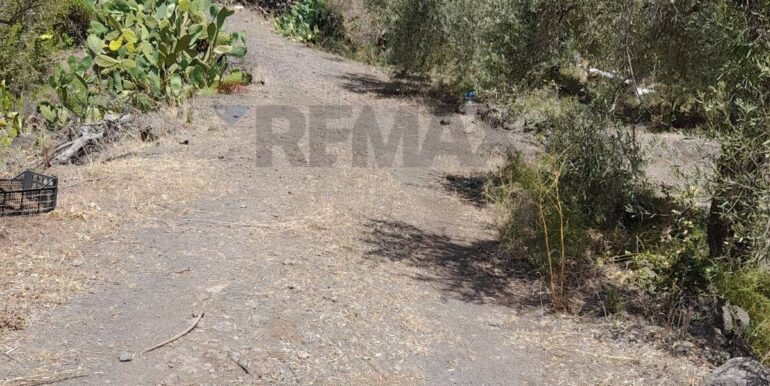 20240724201843-878724-2