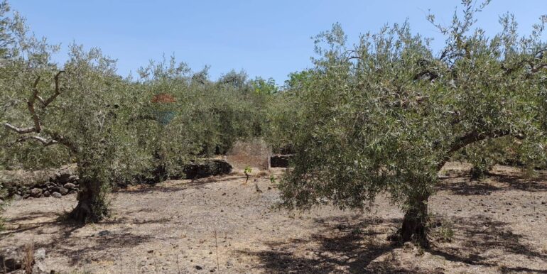 20240724201845-878724-3