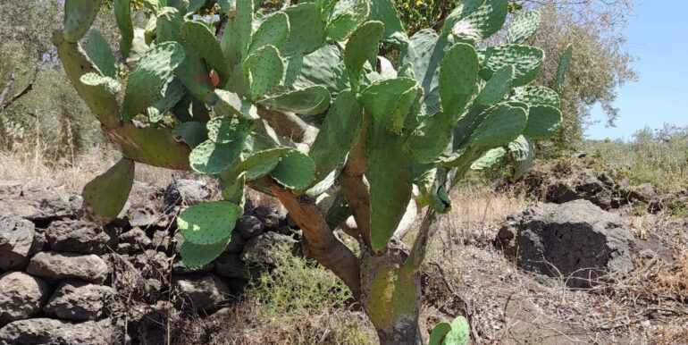 20240724201848-878724-5