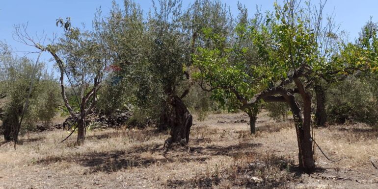 20240724201849-878724-6