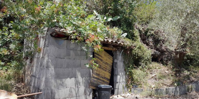 20240724201855-878724-9