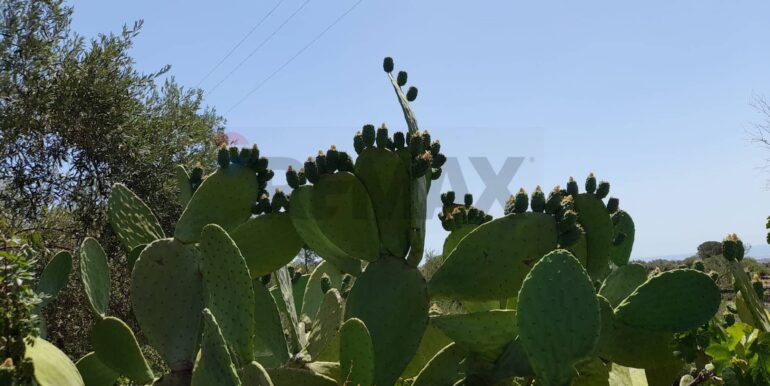 20240724201901-878724-11