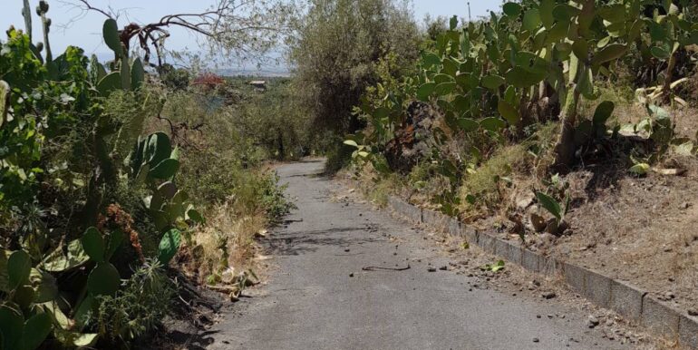 20240724201904-878724-12