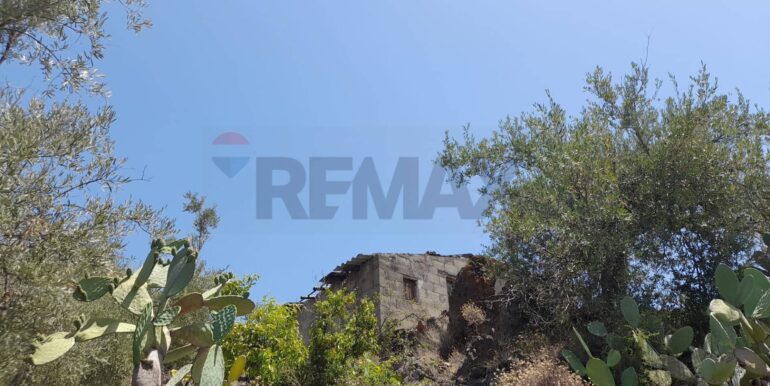 20240724201908-878724-13