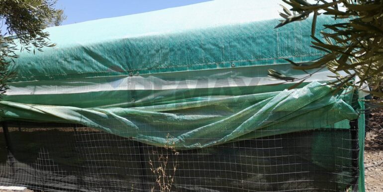 20240724201917-878724-16