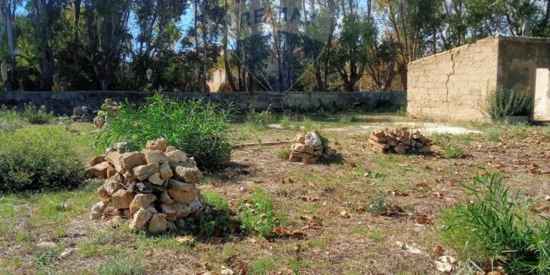 20241020164015-894416-1