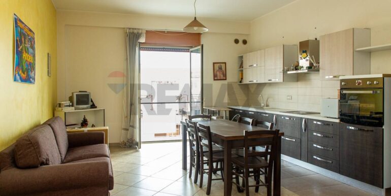 2024111483208-903281-1