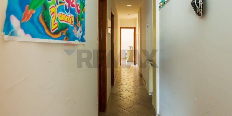 2024111483308-903281-2