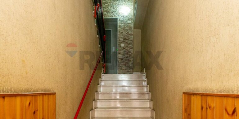 2024111483831-903281-11