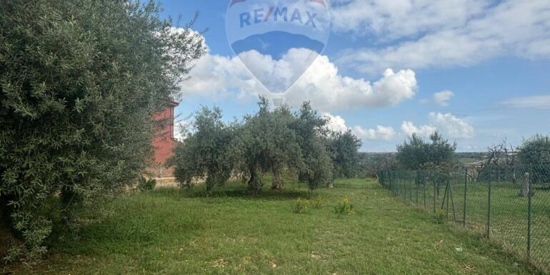 20241117203021-903643-8