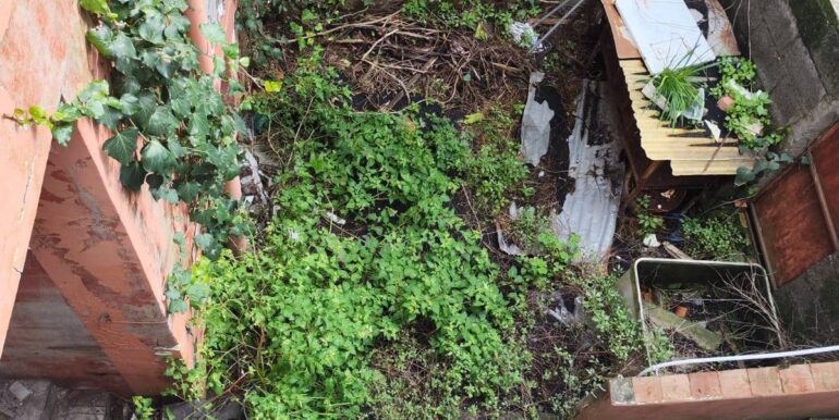 2024112240843-905185-8