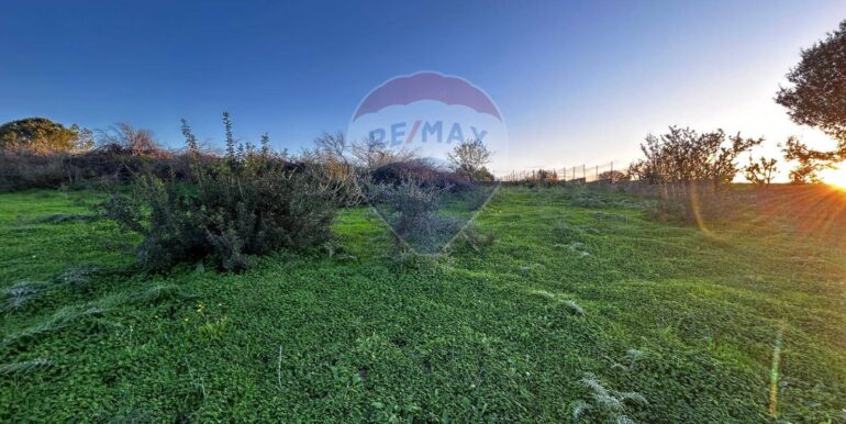 20241127205727-906882-5