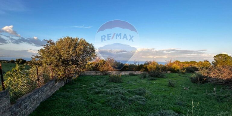 20241127205734-906882-8