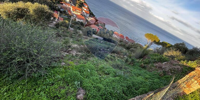 20241128190747-906287-6