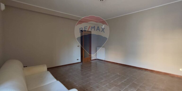 20250102203237-916940-5