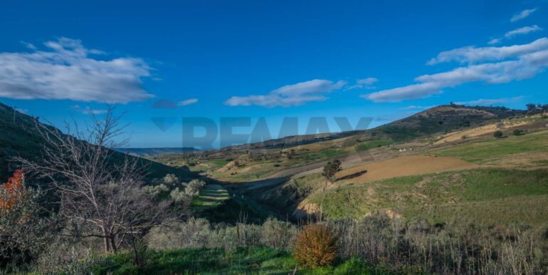 20250110111551-914826-9