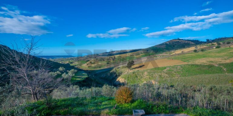 20250110111553-914826-10