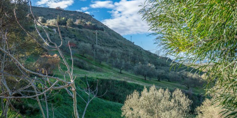 20250110111723-914826-15