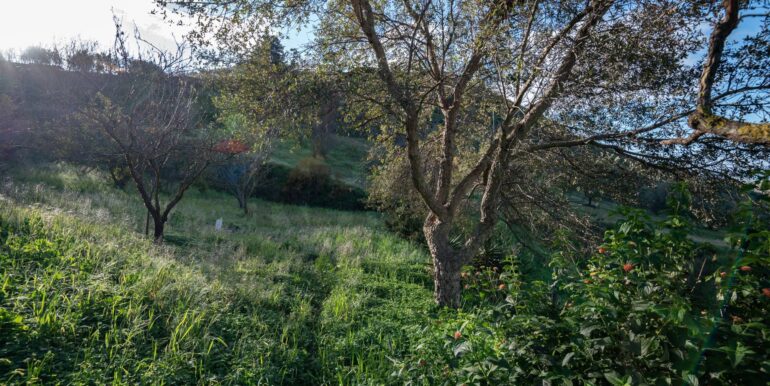 20250110111727-914826-16