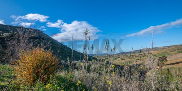 20250110111730-914826-17