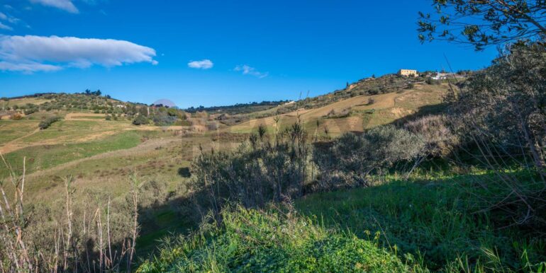 20250110111736-914826-19