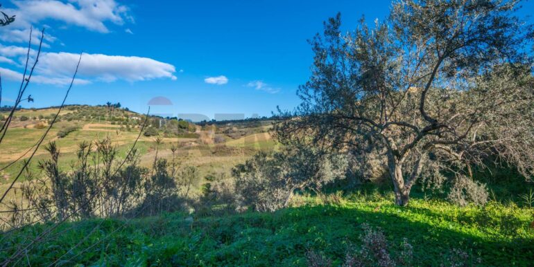 20250110111739-914826-20