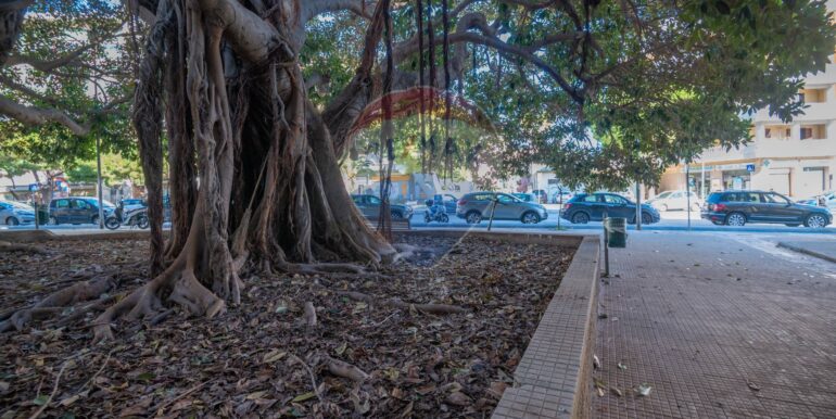 20250115111210-818770-3