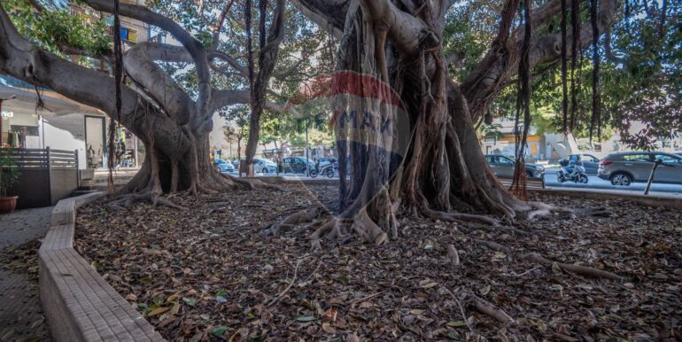 20250115111237-818770-12