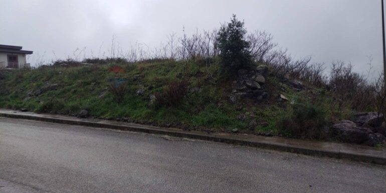 2025011585052-918010-1