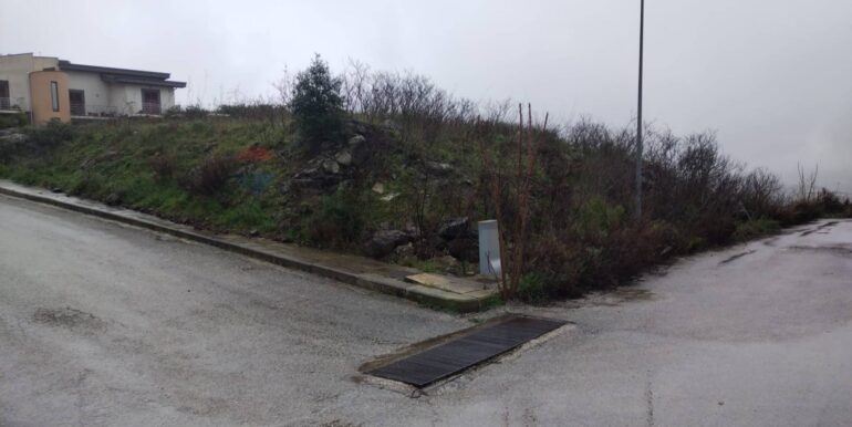 2025011585101-918010-3