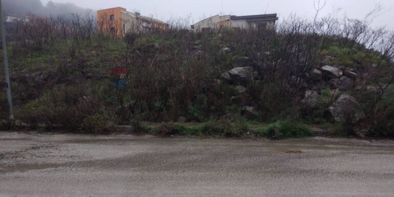 2025011585103-918010-4