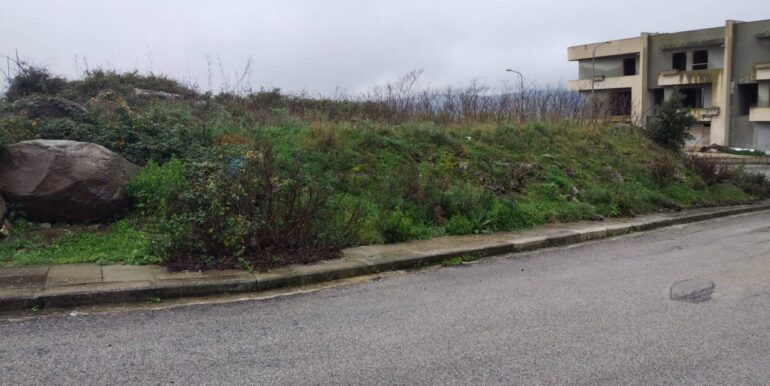 2025011585105-918010-5