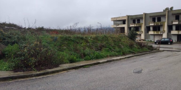 2025011585107-918010-6