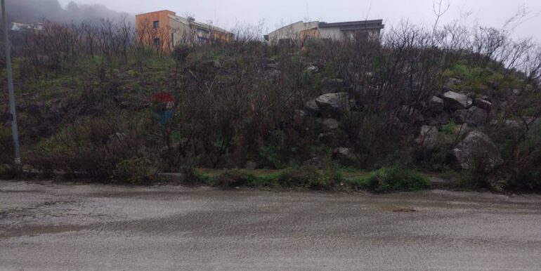 2025011585110-918010-8