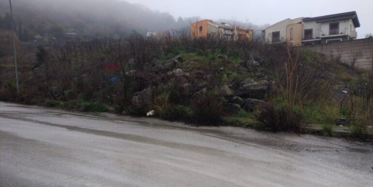 2025011585114-918010-10