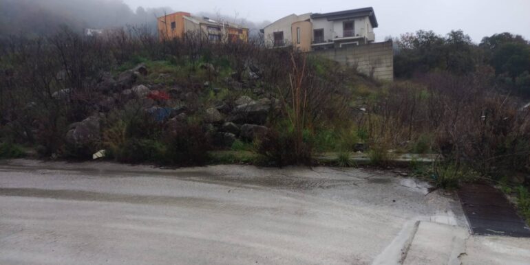 2025011585115-918010-11