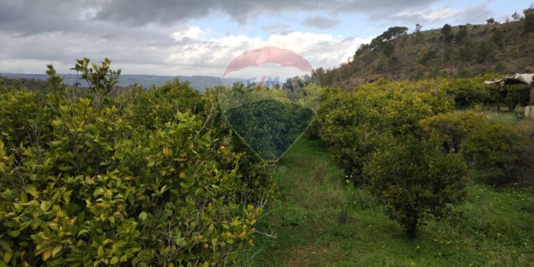 20250119200247-920519-8