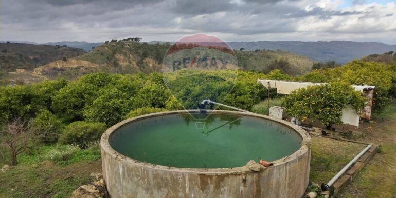 20250119200505-920519-13