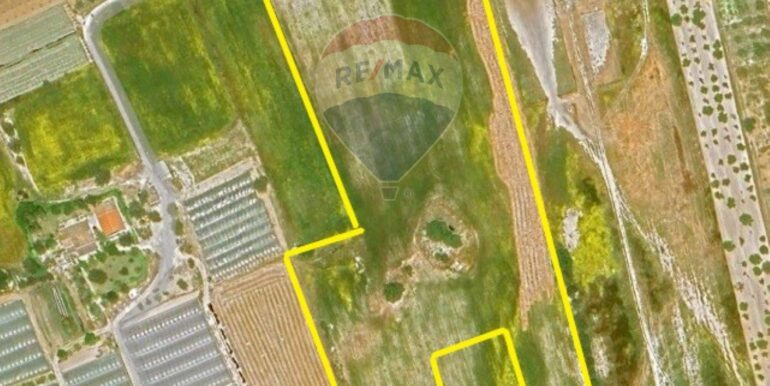 20250121190803-921244-1