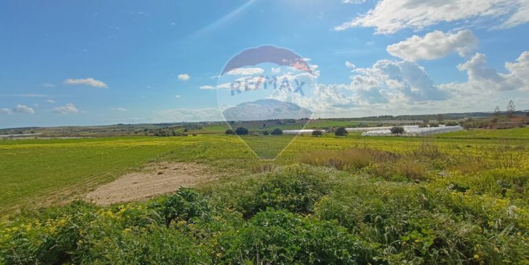 20250121190807-921244-3