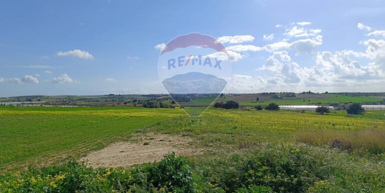 20250121190813-921244-6