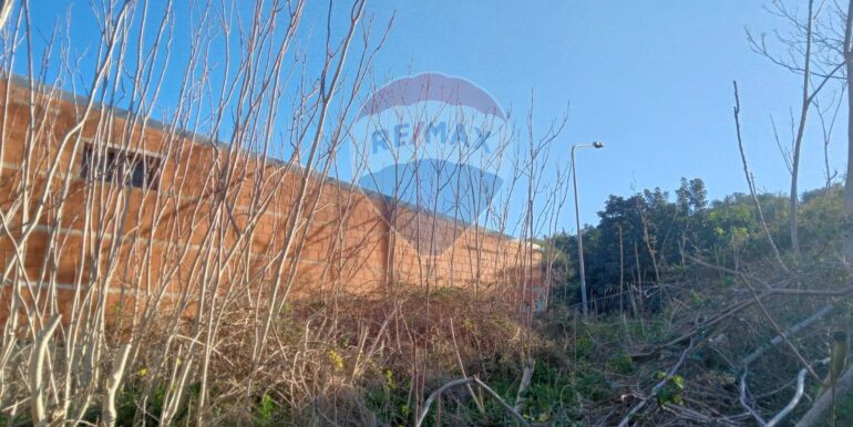 20250122181114-921518-3