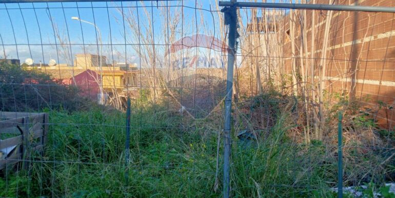 20250122181120-921518-6