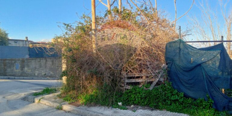 20250122181121-921518-7